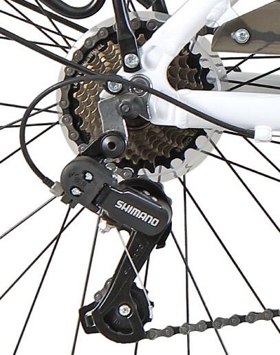 7 speed freewheel and Shimano rear derailleur