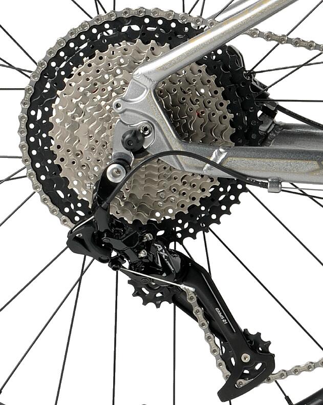 L-Twoo 12 speed rear derailleur and freewheel