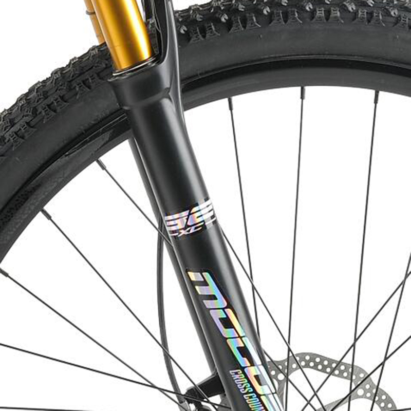 Magnesium alloy air suspension front fork with golden inner tube
