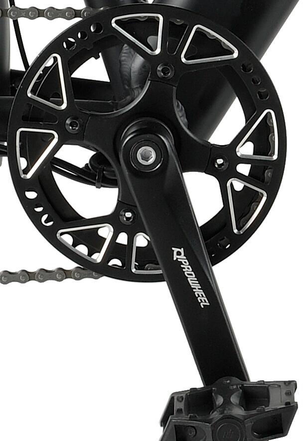 Prowheel alloy chainring