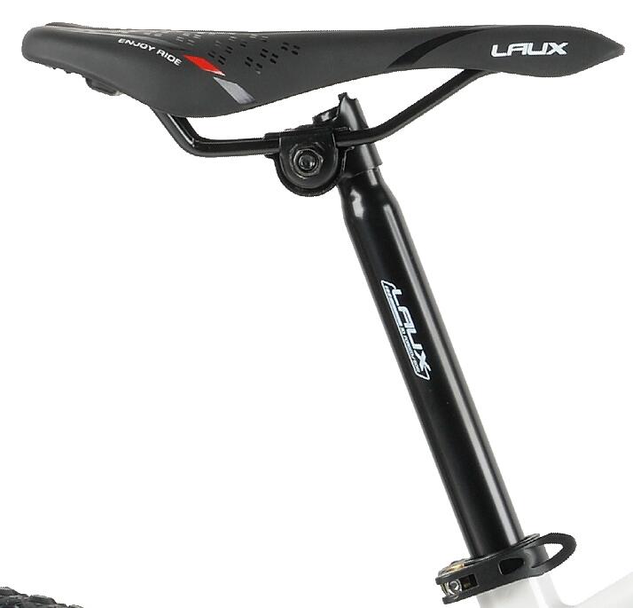 comfortable MTB saddle and seat post with QR