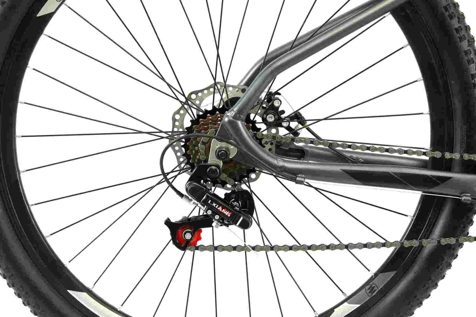 freewheel and rear derailleur