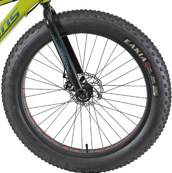 front fork and disc brake and 4.0 tire