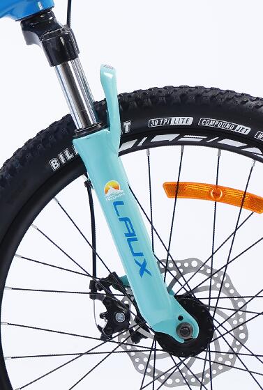 painted suspension fork and disc brake