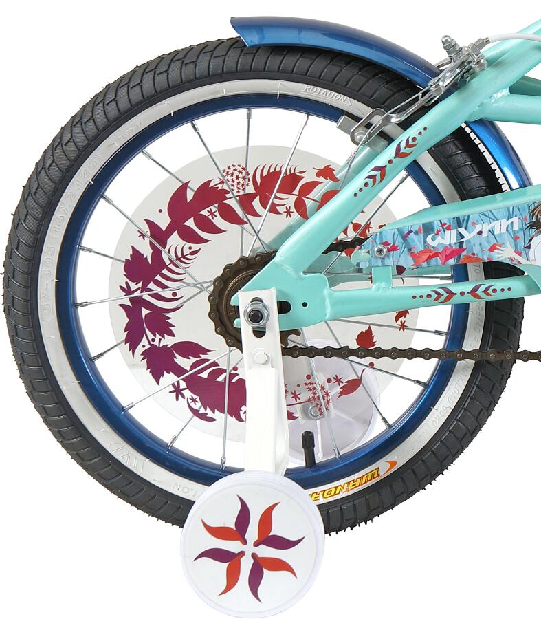 rear wheel with painted fender