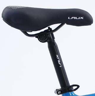 soft saddle and alloy seat post with QR